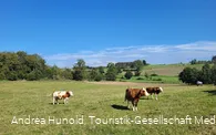 Unterwegs auf dem Vogelerlebnispfad Medebach-Dreislar