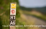 2446555