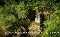 Christenbörnchen bei Willingen-Usseln