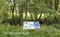 Infotafel am Orkepfad