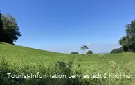 Wiese oberhalb von Grevenbrück 3.jpeg