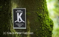 KPK974539.jpg kappest