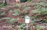 Erklärungen am Drumeckeweg