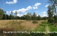 Bei Altastenberg