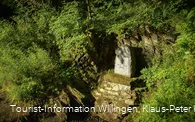 Christenbörnchen bei Willingen-Usseln