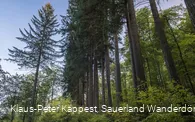 Sauerland-Seelenort Himmelssäulen