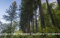 Sauerland-Seelenort Himmelssäulen