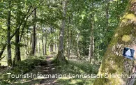Pfad am Walderlebnispfad