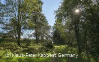 Graswanderweg in Willingen