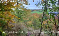 Kleine, naturbelassene Pfade im Weddelberg