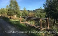 Trollbrücke Walderlebnispfad.JPG