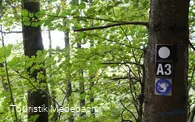 Orkepfad Medelon - Koppi weist den Weg
