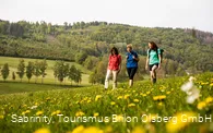 Wandern in Olsberg