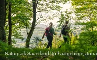 Pfad auf der Bergkuppe Rösberg