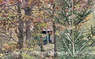 Waldlehrpfad Saalhausen