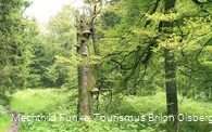Naturwege auf dem Langenbergrundweg