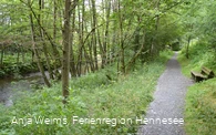 RuhrtalSpazierweg_146 (Foto Hennesee-Tourismus).JPG