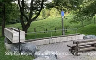 Kneippbecken an der Diemelquelle