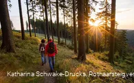 Wanderer auf dem Rothaarsteig