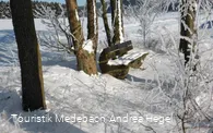 Winter in Medebach