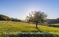 Sauerland-Seelenort Lausebuche