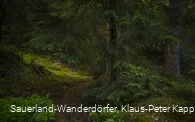 Sauerland-Seelenort Steinbruch am Schinkenkeller