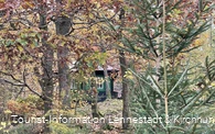 Waldlehrpfad Saalhausen