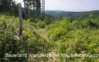 Aufstieg vom Krenkeltal zum Rothaarsteig