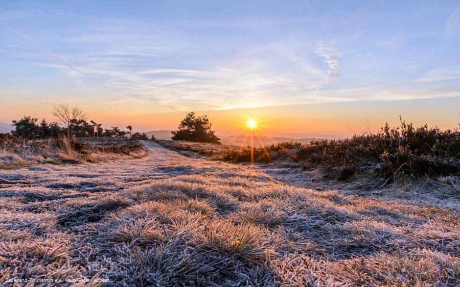 Sonnenaufgang auf dem Osterkopf in Willingen bei Frost