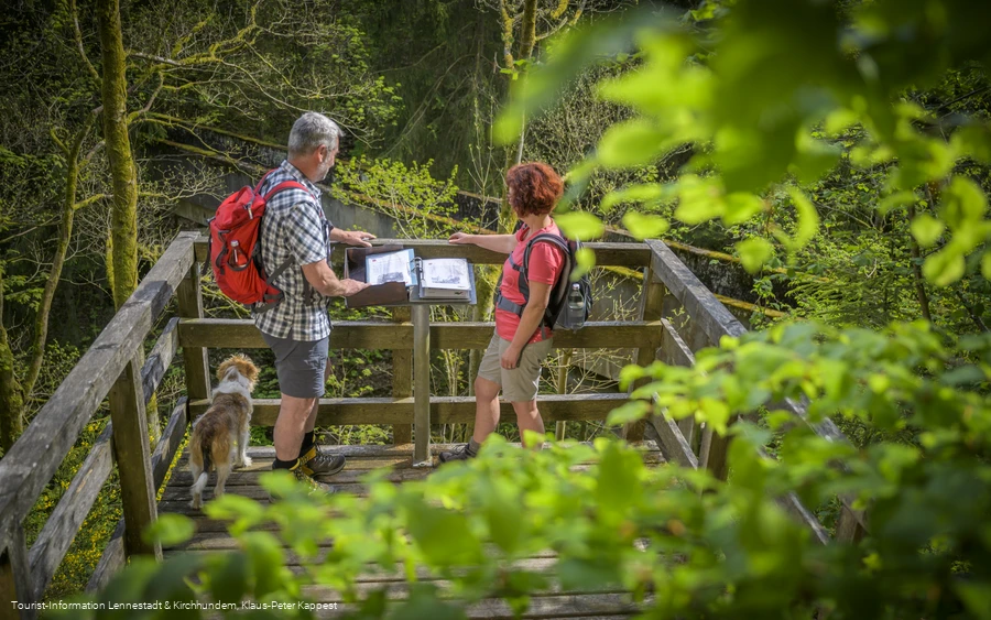 Äquadukt am Rothaarsteig