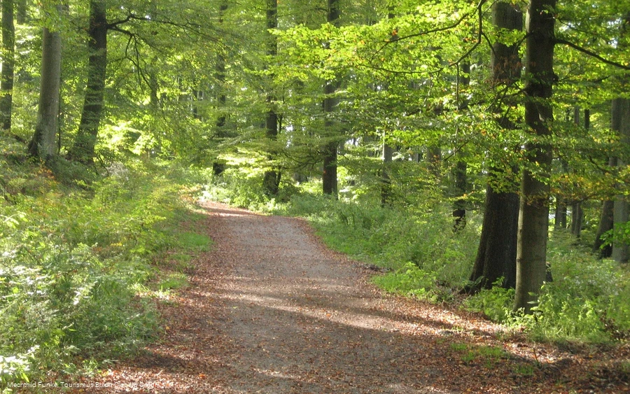 Auf dem Olsberger Kneippweg