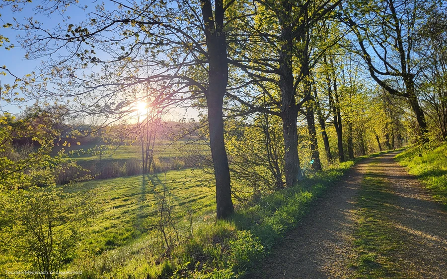Unterwegs auf dem Amselpfad