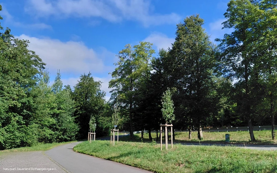 Ruhrquelle_Parkfläche2.jpg