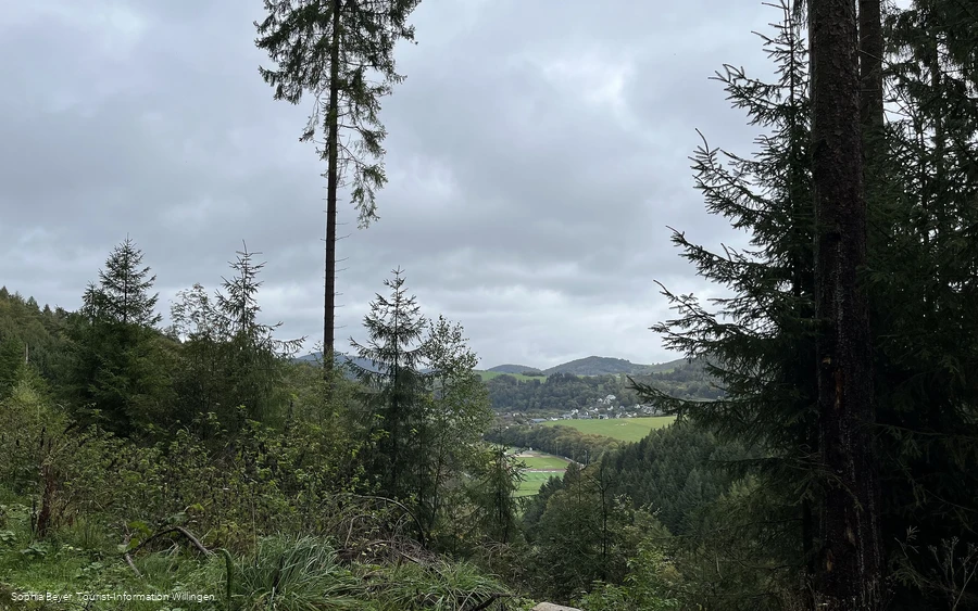 Ausblick am Treis auf dem Uplandsteig 