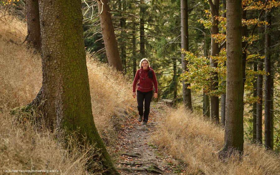 Unterwegs auf dem Kahler Asten-Steig