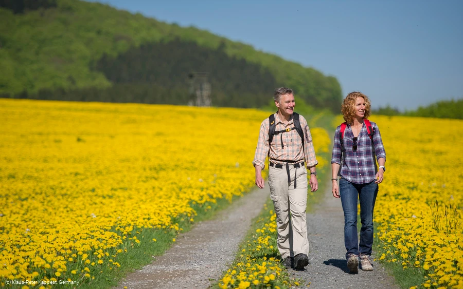 Wandern im Schmallenberger Sauerland