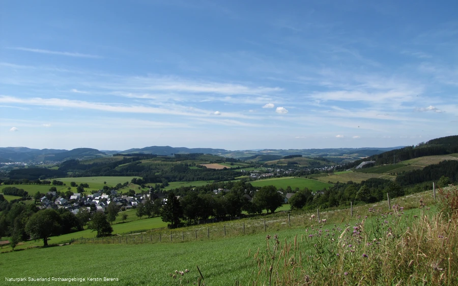 Blick über Holthausen