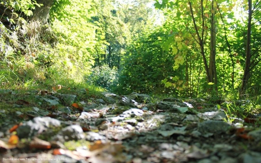 Schöne Wege im Naturschutzgebiet Drübel
