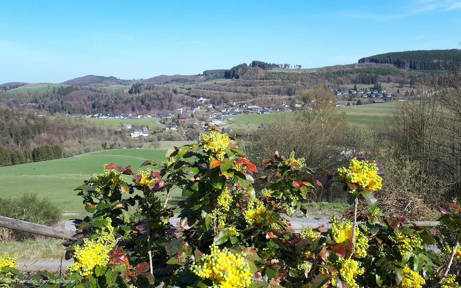 cafe-fernblick-aussicht.jpg cafe-fernblick-aussicht.jpg