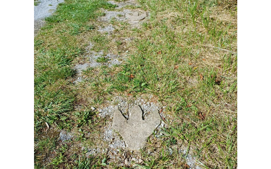 20240912_120111.jpg