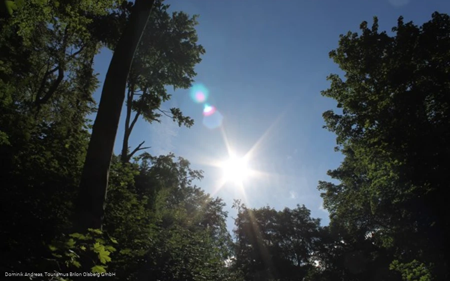 Naturschutzgebiet Drübel