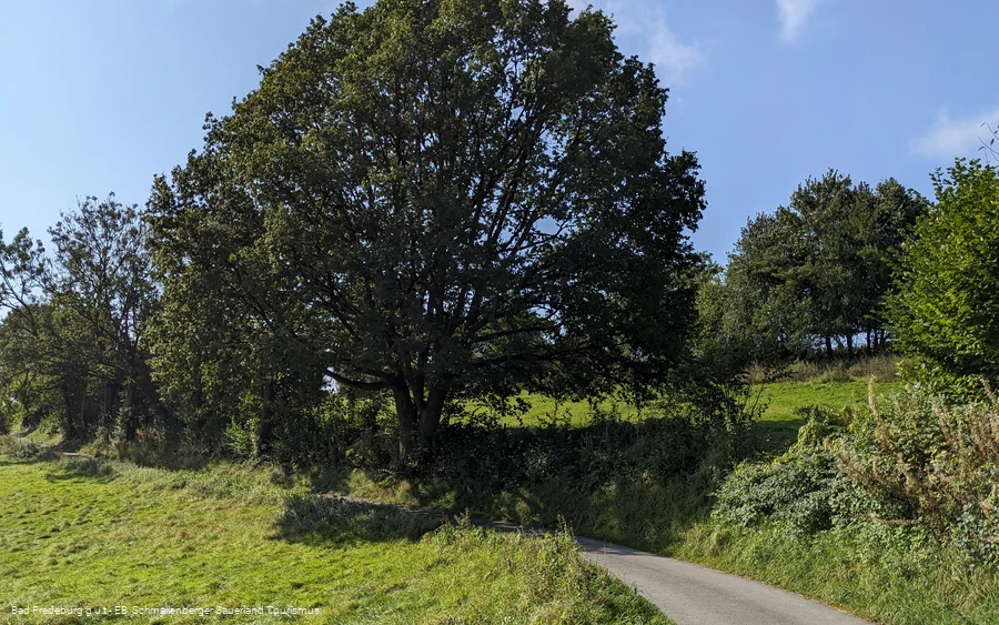 Wandern rund um Bad Fredeburg