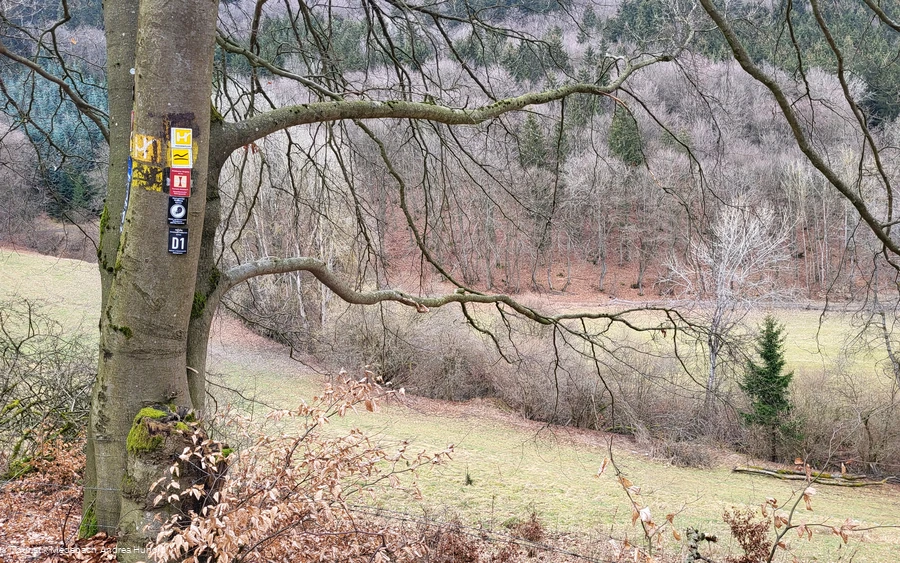 Wandern in der Ferienregion Medebach auf gut markierten Wegen