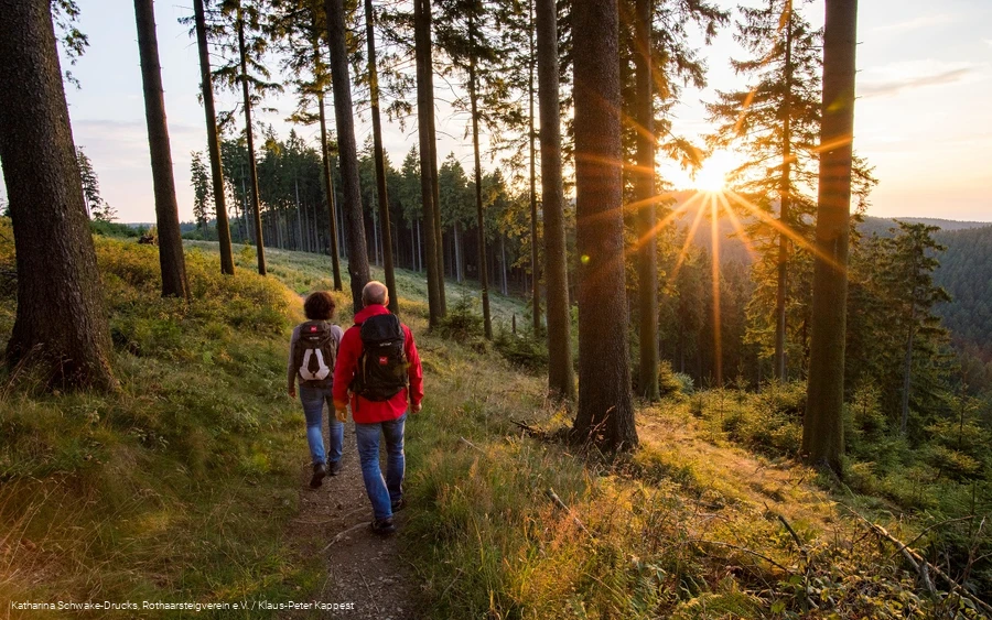 Wanderer auf dem Rothaarsteig