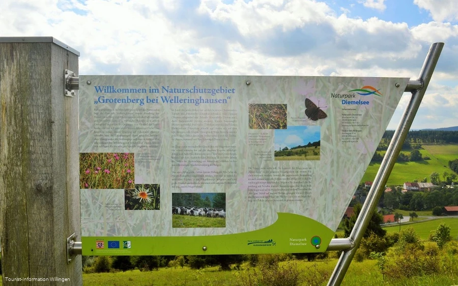 Infotafel Naturschutzgebiet Grotenberg in Welleringhausen