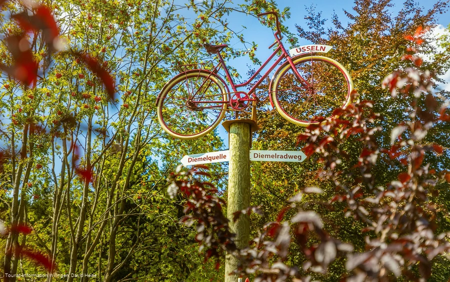 Wegweiser Fahrrad zur Diemelquelle
