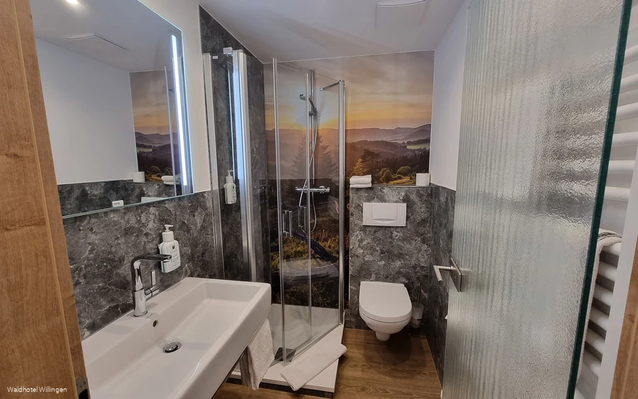 Waldhotel Willingen Badezimmer Waldhotel Willingen Badezimmer