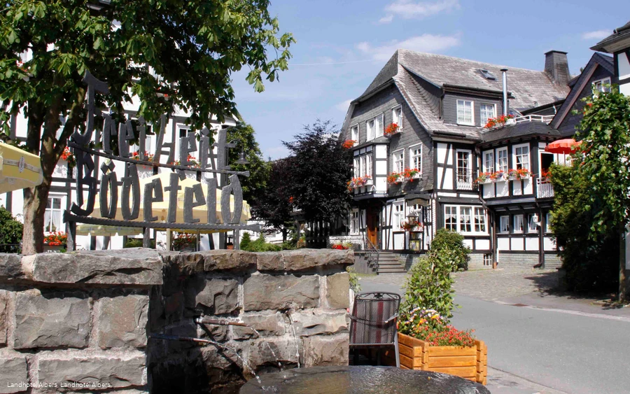 Landhotel Albers in Bödefeld Landhotel Albers in Bödefeld