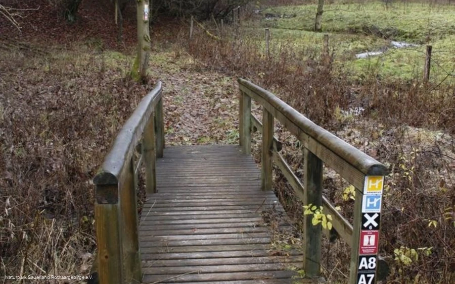 Viele Wanderwege führen hier entlang Viele Wanderwege führen hier entlang