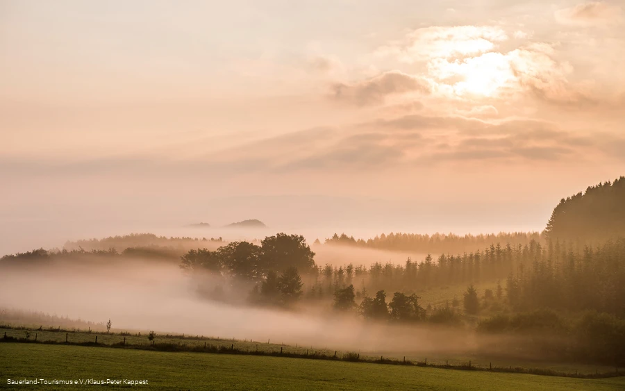 Nebellandschaft Schmallenberg